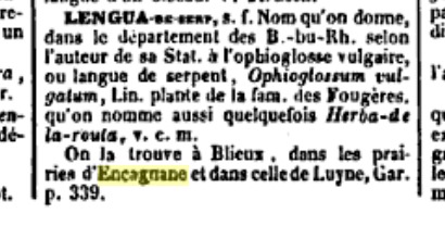 dictionnaire-de-la-langue-d-oc-2
